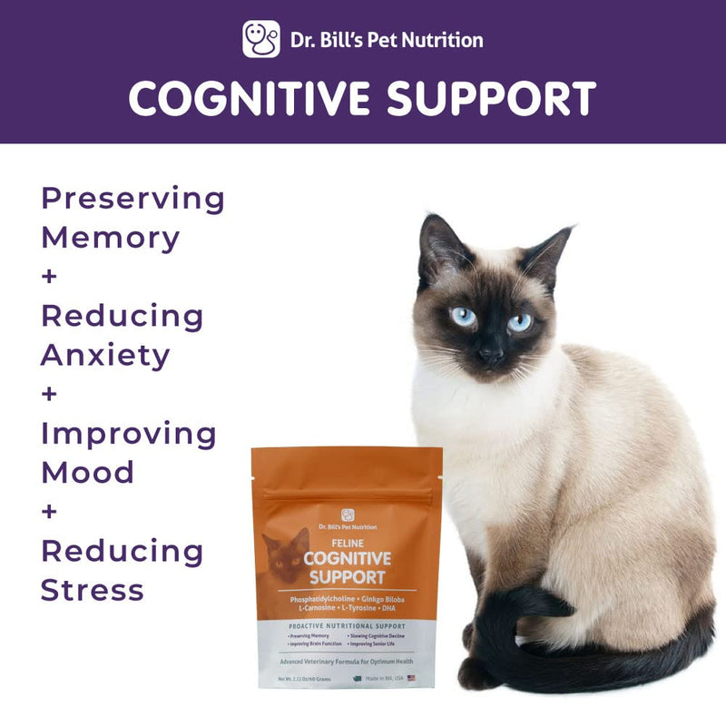 Dr. Bill's Feline Cognitive Support | Pet Supplement | Memory Support Supplement for Cats | Contains Gingko Biloba, L-Carnosine, Vitamin B-12, L-Glutamine, L-Tyrosine, and DHA - BeesActive Australia