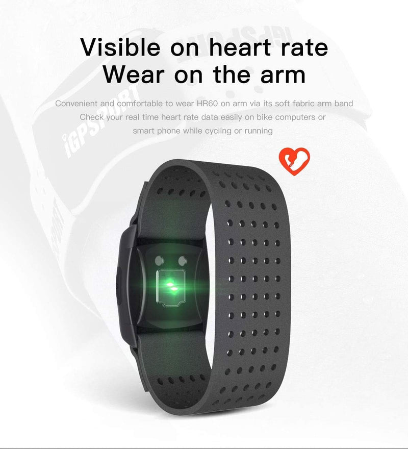 iGPSPORT Heart Rate Monitor HR60 Waterproof Smart Fitness Activity Tracker Watch, with Armband Sensor ANT+ and Bluetooth - Black - BeesActive Australia