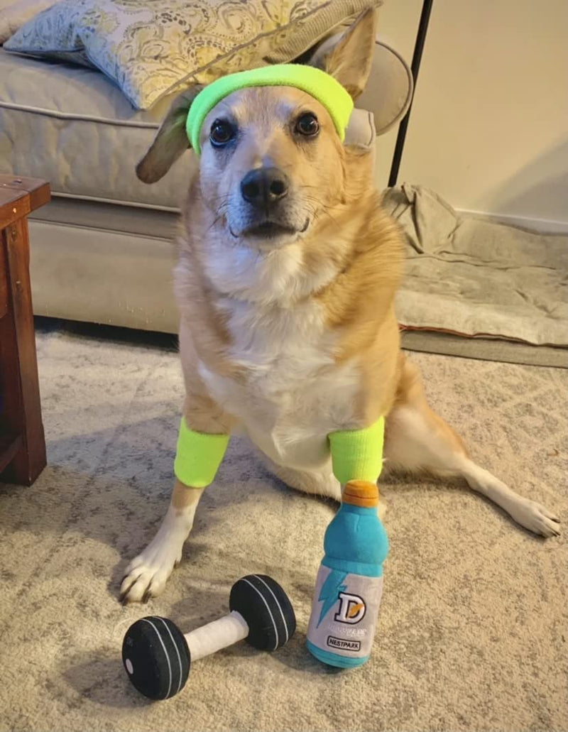 Fitness Funny Dog Toys - Doggyade and Doggy Dumbell Workout Parody Cute Dog Toys - 2 Pack Workout Pack - BeesActive Australia