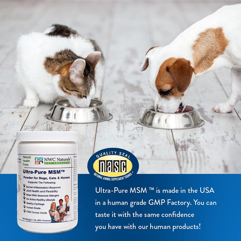 Ultra-Pure MSM for Dogs, Cats & Horses, Supports Hip, Joint and Connective Tissue for Healthy Cartilage and Mobility Opti MSM the Purest in the World by NWC Naturals 1 lb Canister (Model: POWDER) - BeesActive Australia