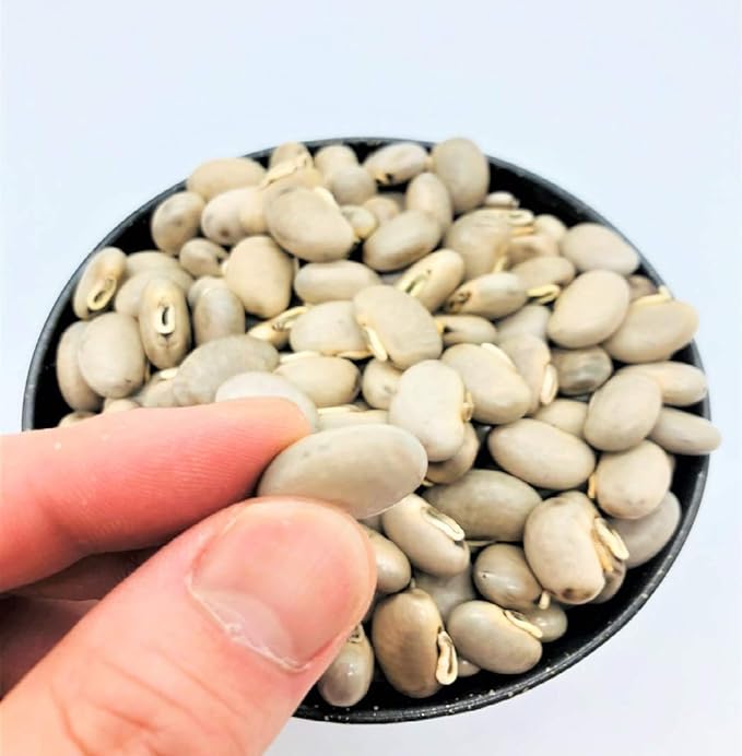 Made in Japan (from Kumamoto Prefecture) 100% Mukuna Beans; Natural Cultivation of Pesticide-free: As it is Mukuna Beans (8 Maso Beans), Raw Mukuna Beans (10.6 oz (300 g) - BeesActive Australia