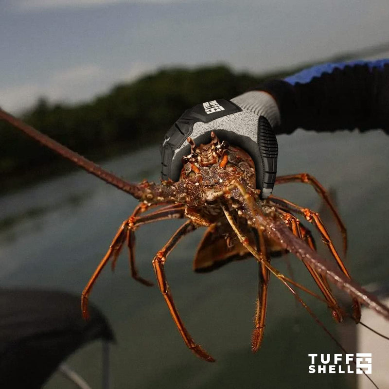 TUFF SHELL Cut Resistant Lobstering Gloves, Crab Gloves, Diving Gloves, Lobster Diving Gloves, Spearfishing Glove Small - BeesActive Australia
