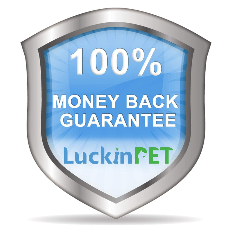 LuckinPET Waterproof Dog Collar Replacement Strap for Shock Collar and Fence Easy Clean Odorless Dog Collar Metal Buckle 3/4 Inch Adjustable Size Durable Anti-Odor TPU Dog Collar Cyan Pack2 Solid - BeesActive Australia