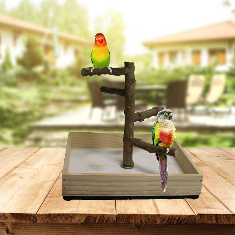Hamiledyi Bird Perch Stand Tabletop,Parrot Playground Bird Gym Natural Wooden Perch PlayStand Platform for Parrots Parakeets Canaries Cockatiels Conure Lovebirds - BeesActive Australia