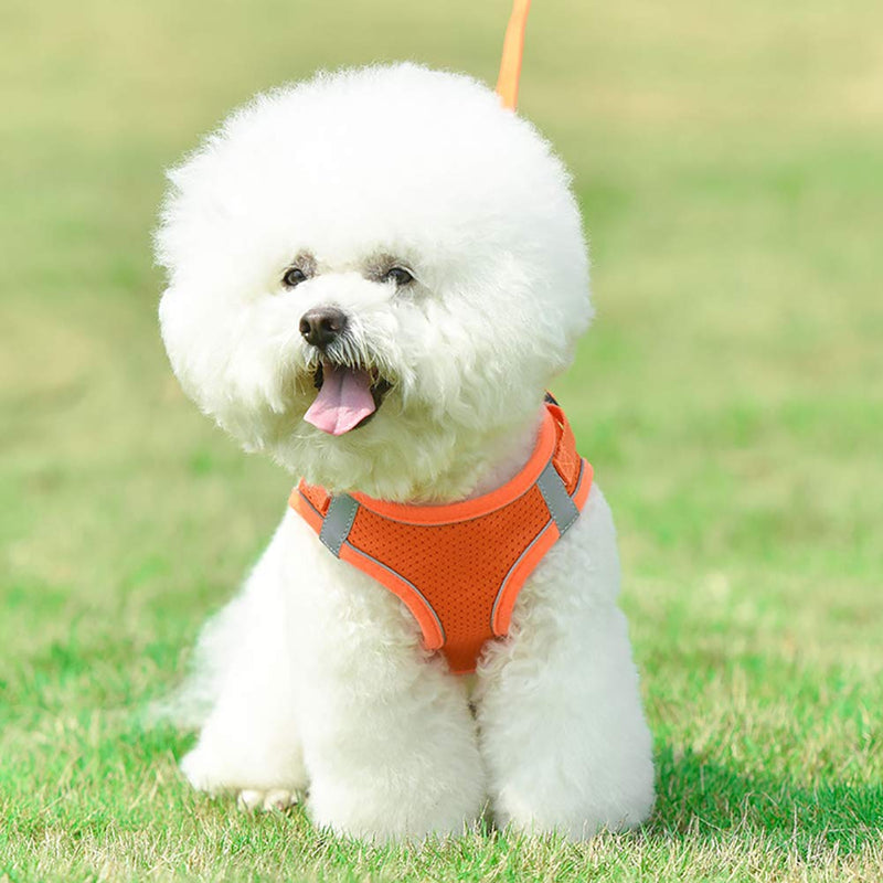 Love Dream Puppy Harness and Leash Set, Escape Proof Dog Cat Vest Harness for Cats Small Medium Dogs, Adjustable Reflective Step in Harness,Soft Mesh Comfort Fit No Pull No Choke Medium(13.7"-15.7") Orange - BeesActive Australia