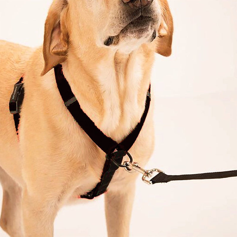 Dog Harness - Non-Pull No-Choke Humane Adjustable Reflective Dog Training Harness, Non Pulling Pet Harness, Easy Step-in Adjustable Harness for Control Small Black - BeesActive Australia