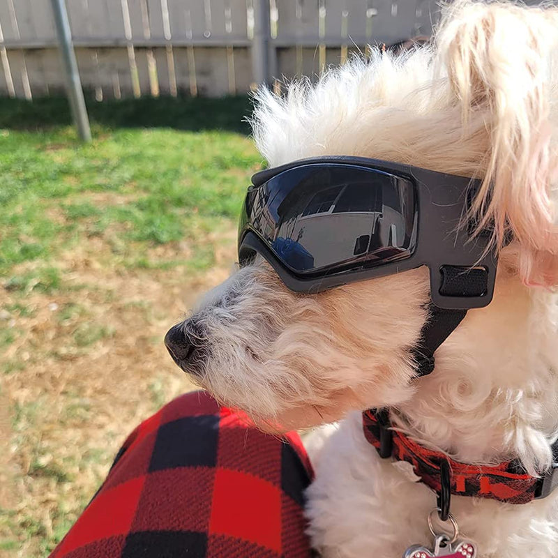 Dog Goggles Small or Medium Dog Sunglasses Anti-UV Waterproof Windproof Glasses Dog Eyewear for Small Medium Breed Black - BeesActive Australia