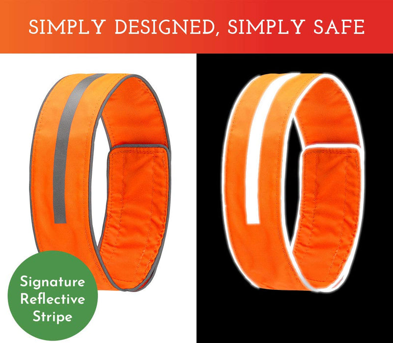SPOT THE DOG! Reflective Collar Band Safety Apparel for All Dogs - Easy Fastening Closure, High Visibility Fluorescent Orange X-Large - BeesActive Australia