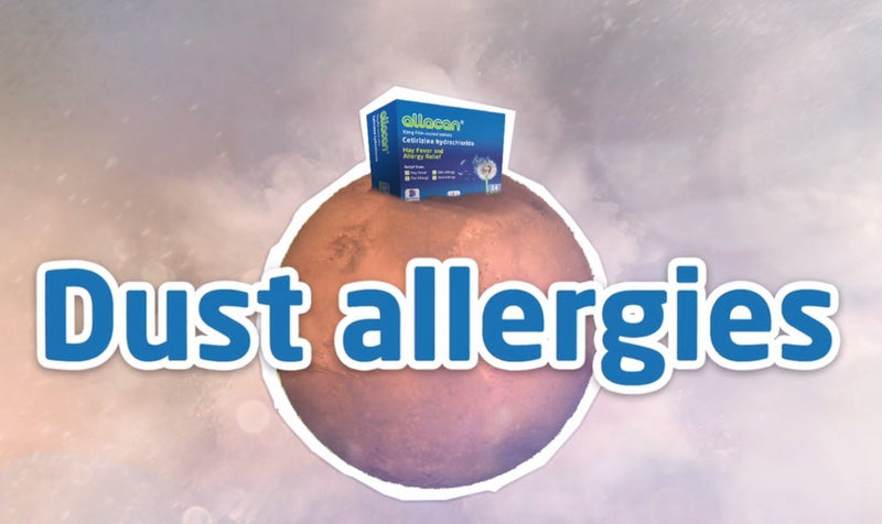 6 Months Supply Allacan Cetirizine Hayfever Allergy Tablets 30 x 6 30 Count (Pack of 6) - BeesActive Australia