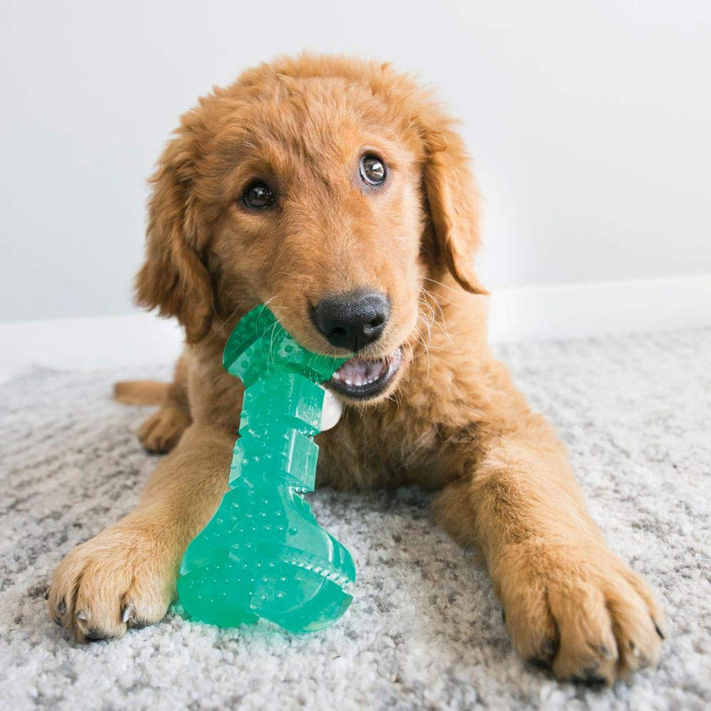 KONG - Squeezz Dental Ball - Unique Flexible Texture, Teeth and Gum Cleaning Dog Toy - for Medium/Large Dogs - BeesActive Australia