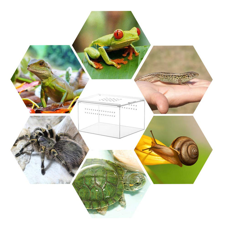 NANEEZOO Acrylic Reptile Breeding Box, 5x4x3 Inch Nano Flat/Long Enclosure Transparent Reptile Breeding Box Terrarium Cage Tank for Tarantula Scorpion Sling Isopods Invertebrates Insect Mantis - BeesActive Australia