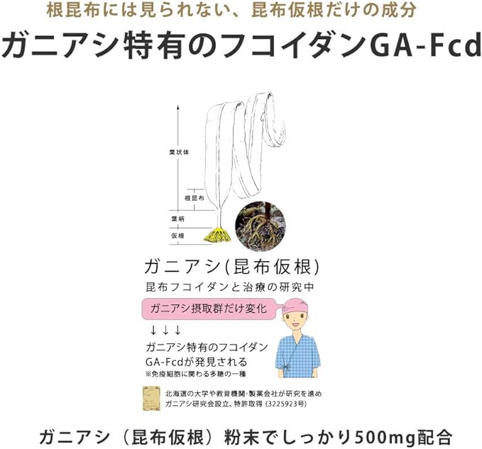 noi Ganiashi AgriMax Supplement Kaigen Pharma Ganiashi 540mg AglyMax 60mg Nichimo Biotics Nichimo Biotic Dr. AgriMax Recommended for those who want to try Ganiashi and AgriMax - BeesActive Australia