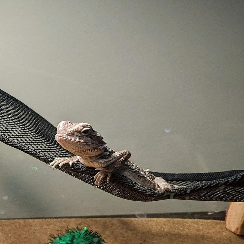 2 Pcs Bearded Dragon Lizard Hammock, Geckos Hammock, Breathable Mesh Reptile Hammock, Suitable for Iguanas, Anoles, Geckos, Snakes, Chameleon - BeesActive Australia