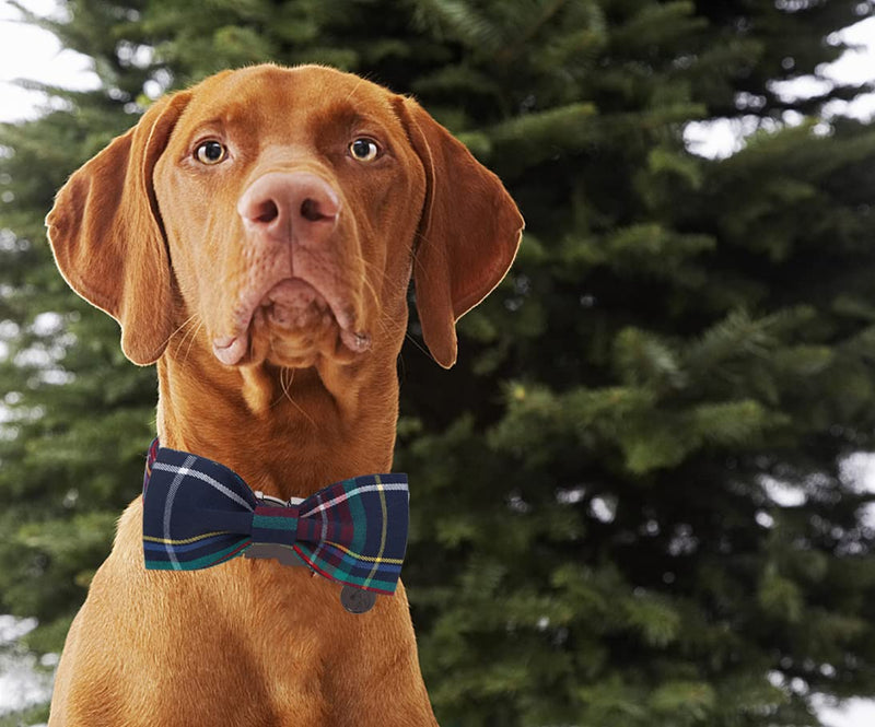 DOGWONG Cotton Dog Collar with Bow tie, Christmas Red Plaid Dog Collar Pink Santa Claus Soft Durable Adjustable Cotton Puppy Pet Collar for Small Medium Large Dog L（Pack of 1） A: red blue plaid - BeesActive Australia