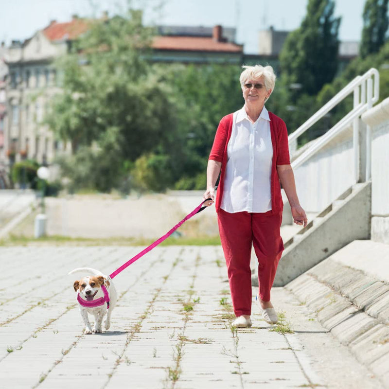 SlowTon No Pull Small Dog Harness and Leash Set, Puppy Soft Vest Harness Neck & Chest Adjustable, Reflective Lightweight Harness & Anti-Twist Pet Lead Combo for Small Medium Dogs XX-Small (Chest 11.5-15.0") A-Fuchsia - BeesActive Australia