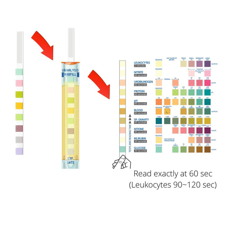 2 x (10 Parameter) Urine Analysis Test Strips for Liver, Kidney Functions & UTI. with 2 Urine Collection Bags - BeesActive Australia
