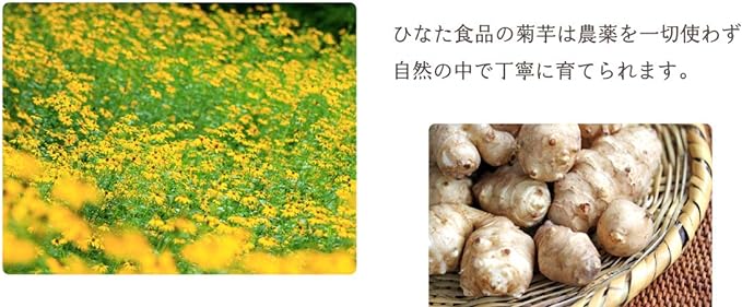 [Price revised] Jerusalem artichoke powder 150g Inulin from Kyushu | No pesticides | Sterilized powder processed - BeesActive Australia