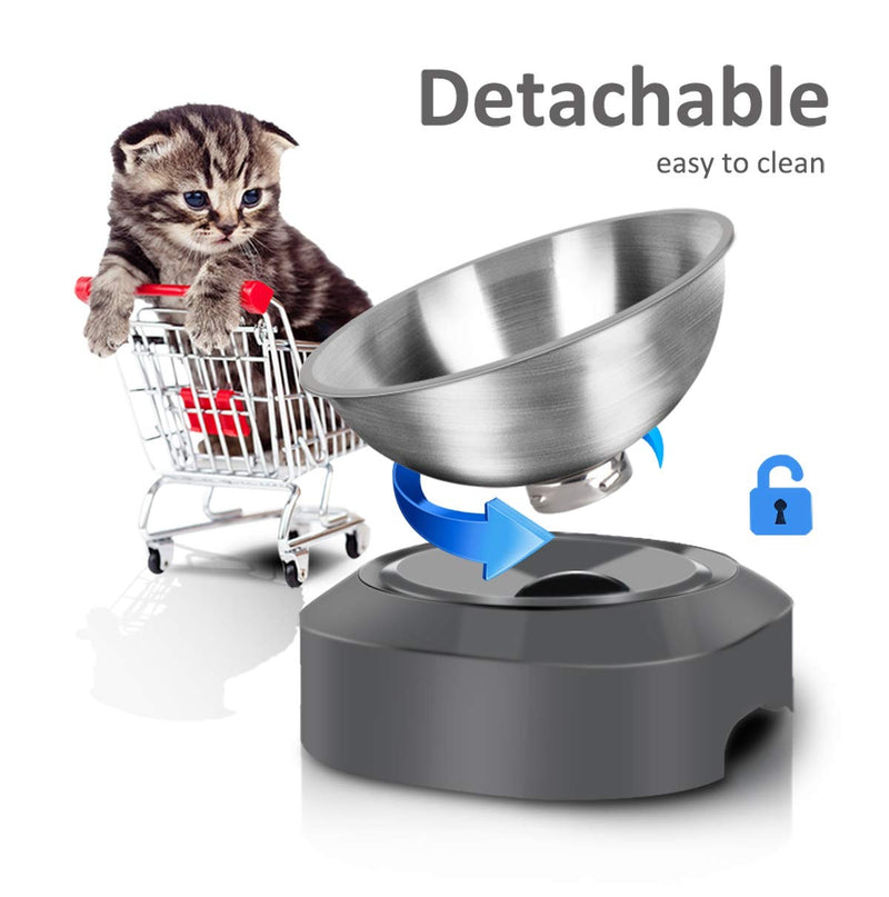AYADA Raised Cat Food Bowl, Stainless Steel Cat Dish for Food Water Anti Vomiting Elevated with Stand Ergonomic Lifted Slanted Tilted 15 Angle Metal Single Kitty Kitten Wet Food Bowl Pet Bowl - BeesActive Australia