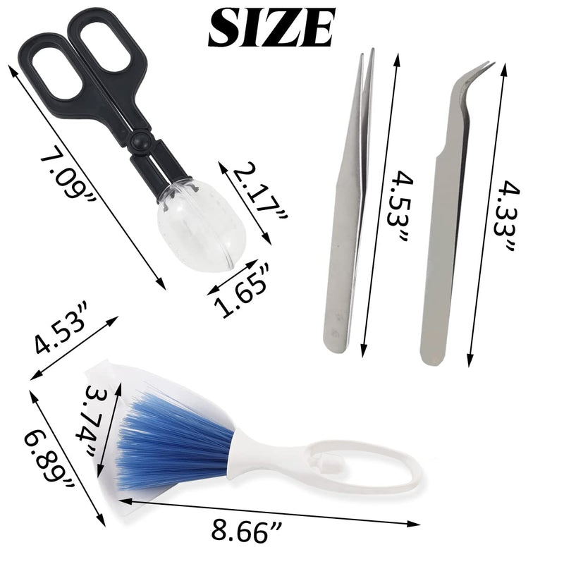 NSBELL Reptile Scooper Feeding Tool, Mini Dustpan and Brush, Straight and Curved Stainless Steel Tweezers for Reptile, Hedgehog, Hamsters, Guinea Pig, Rat, Lizard and Other Small Animals Supplies - BeesActive Australia