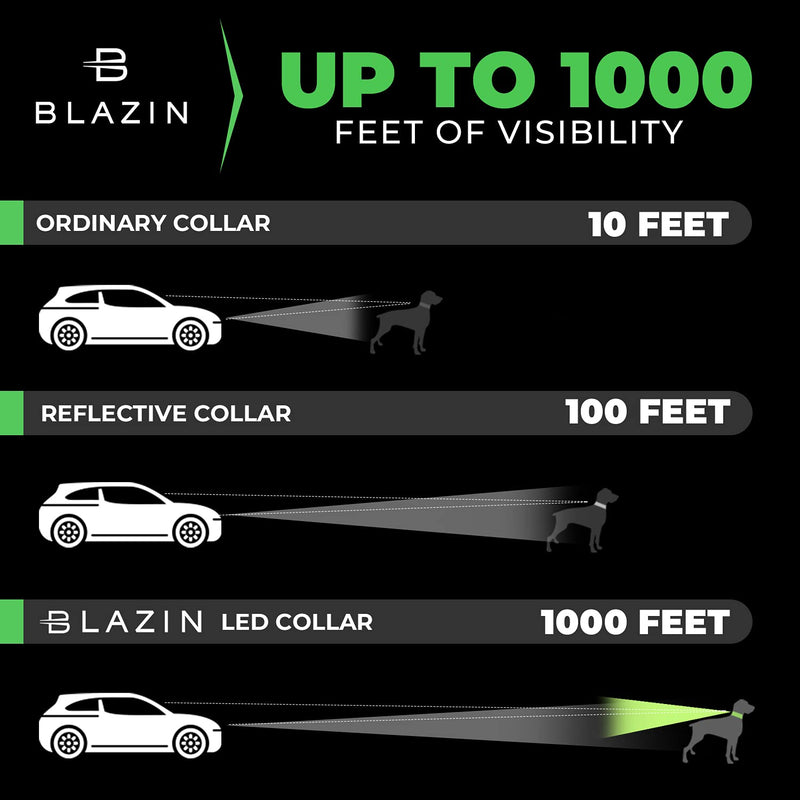 Blazin LED Light Up Dog Collar - 1,000 Feet of Visibility - Brightest for Night Safety - USB Rechargeable with Water Resistant Glowing Dog Collar Light Medium (Pack of 1) Pink - BeesActive Australia