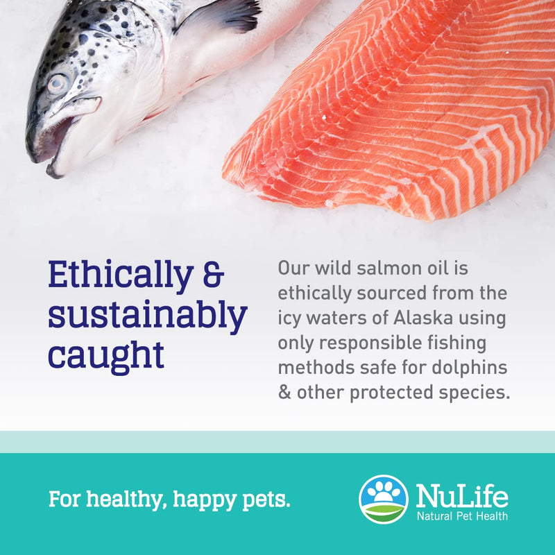 NuLife Natural Pet Health Pure Wild Alaskan Salmon Oil for Dogs, Omega 3 Fish Oil Supplement for Healthy Skin & Shiny Coat, Prevents Itchy Skin, Skin Allergies & Shedding, 120 Soft Capsules - BeesActive Australia