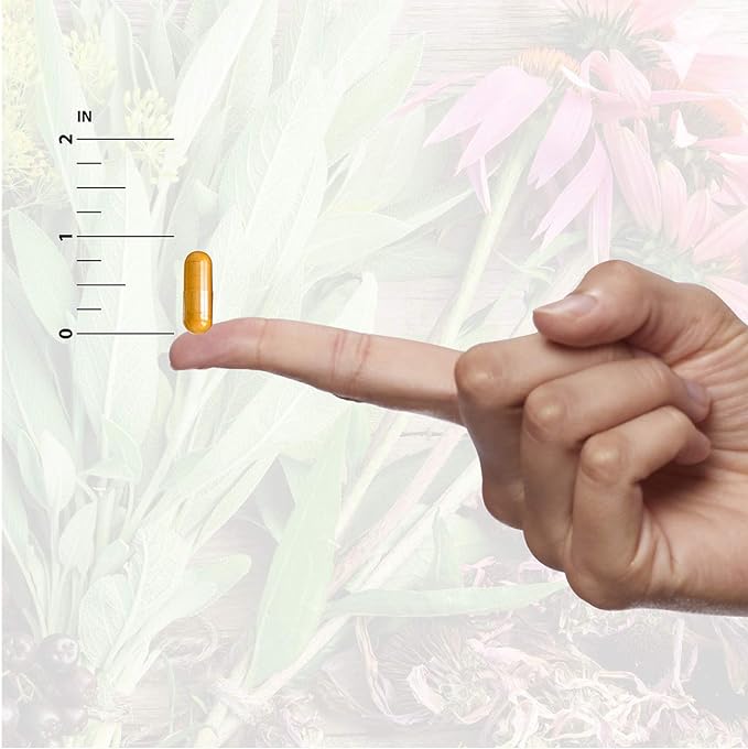 Directly shipped from overseas Nature's Answer Bacopa 500mg, 90 vcaps - BeesActive Australia