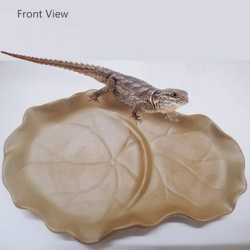 Fuongee Reptile Feeding Dish Bowl Food and Water Bowl Tortoise Dish Reptile Tank Decor, Heavy Duty Ceramic Feeding Dish, Leaf Shaped - BeesActive Australia