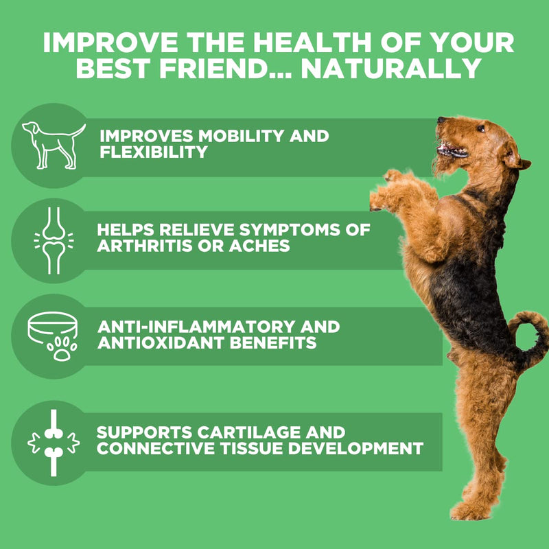 Deley Naturals, Advanced Arthritis Pain Relief for Dogs, Glucosamine Chews for Dogs with Chondroitin, MSM and Organic Turmeric, Made in USA Dog Treats, 100% Natural, 120 Soft Chews - BeesActive Australia