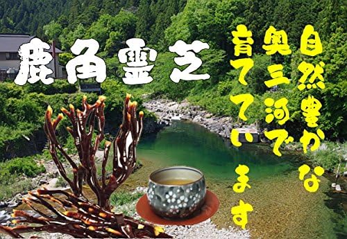 Kagakura Reishiba, 8.8 oz (250 g) (1.8 oz (50 g) x 5), Produced in Aichi Prefecture, Purified Cultivation - BeesActive Australia