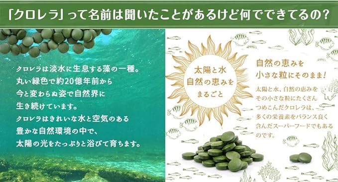 Purely domestically produced 100% chlorella grains 100g (approximately 500 grains) Additive-free superfood 1 grain 200mg [04] NICHIGA Chlorella in granular form - BeesActive Australia