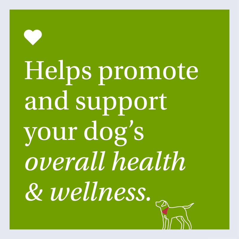 PetLab Co. 13 in 1 Dog Multivitamin - Support Dog's Immune Response, Skin, Coat, Joints & Overall Health - Vitamins A, E, D, B12, Minerals, Antioxidants - Chewable Pork Flavor - BeesActive Australia
