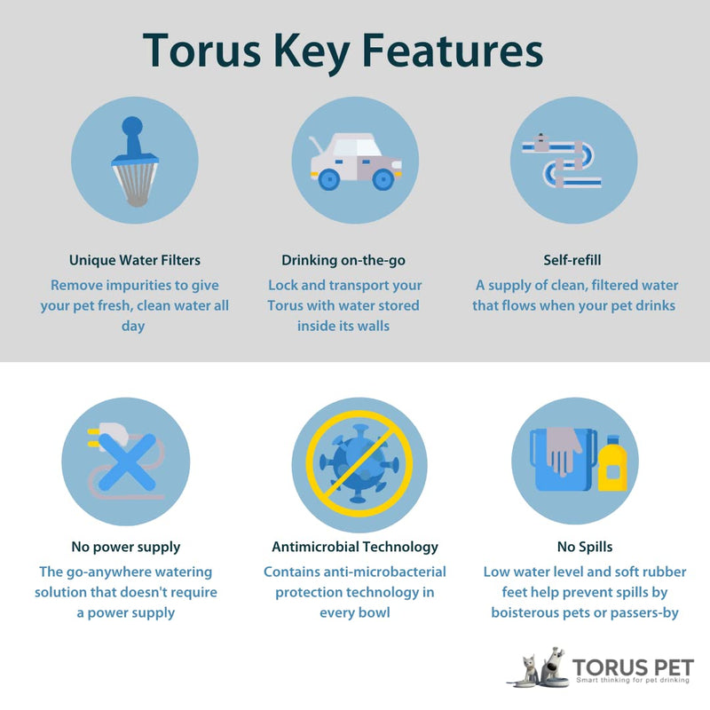 Torus Pet Mini Filtered Water Bowl - 1 Liter – Home and Travel Bowl - Autofill - Portable - Antimicrobial - BPA Free - Cat - Small Dog Red - BeesActive Australia