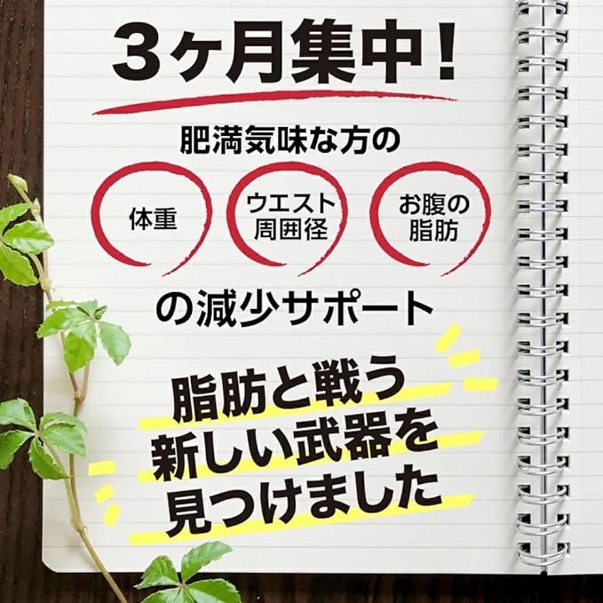 DUEN Abdominal Fat Health, Tummy Fat, Visceral Fat and Subcutaneous Fat Supplement, Functional Claimed Food, Isoflavone Derived from Katsusha - BeesActive Australia