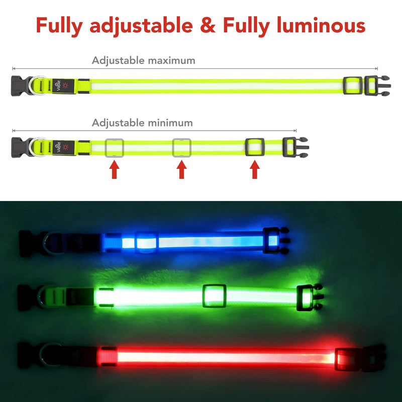 VIZPET LED Dog Collar USB Rechargeable 100% Waterproof Adjustable Light Up Dog Collar Super Bright Safety Light Glowing Collars for Dogs Green Large[18.89-23.62 inch/48-60cm] - BeesActive Australia