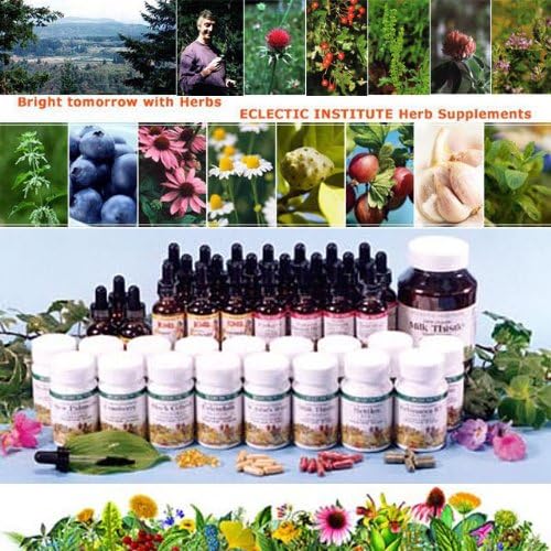 ECLECTIC Eclectic Herbal Supplements Horsestail FFD 375mg 15 Capsules Eco Pack Fresh Upgrade Standard Set of 2 - BeesActive Australia