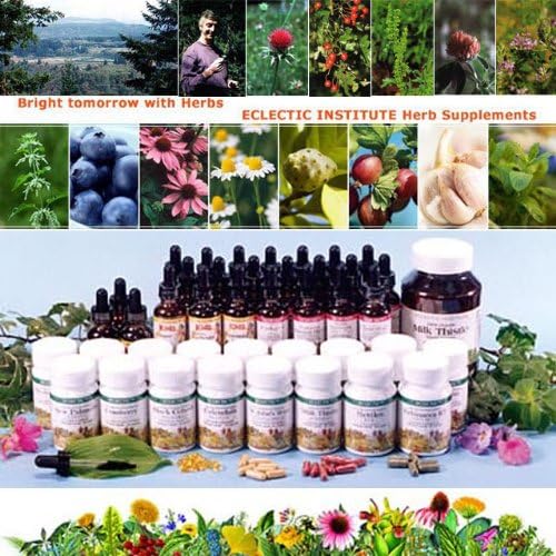 EXCTRIC St. John's Wart e124 300 mg x 135 capsules - BeesActive Australia