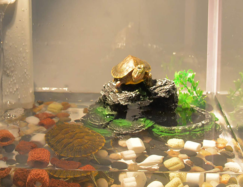 PINVNBY Turtles Dock for Aquarium Reptile Basking Platform for Turtles, Frogs, Newts and Salamanders - BeesActive Australia