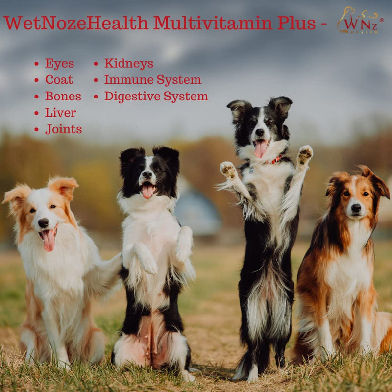 WNz Health Probiotics for Dogs - Best Relief from Diarrhea Constipation Allergies Bad Breath Itching Gas & Shedding Chicken Flavor Vitamins - BeesActive Australia