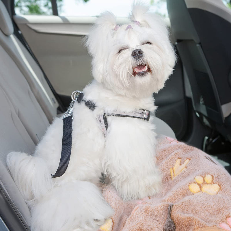 Flying Paws Dog Blankets, Machine Wash Soft Fluffy Fleece Fabric, Kitten Supplies Cute Bone Paw Print (3 Colors), Puppy Blanket for Small Dogs Warm Bed Sleep Mat Medium(30*20") Pink/Brown/Purple - BeesActive Australia
