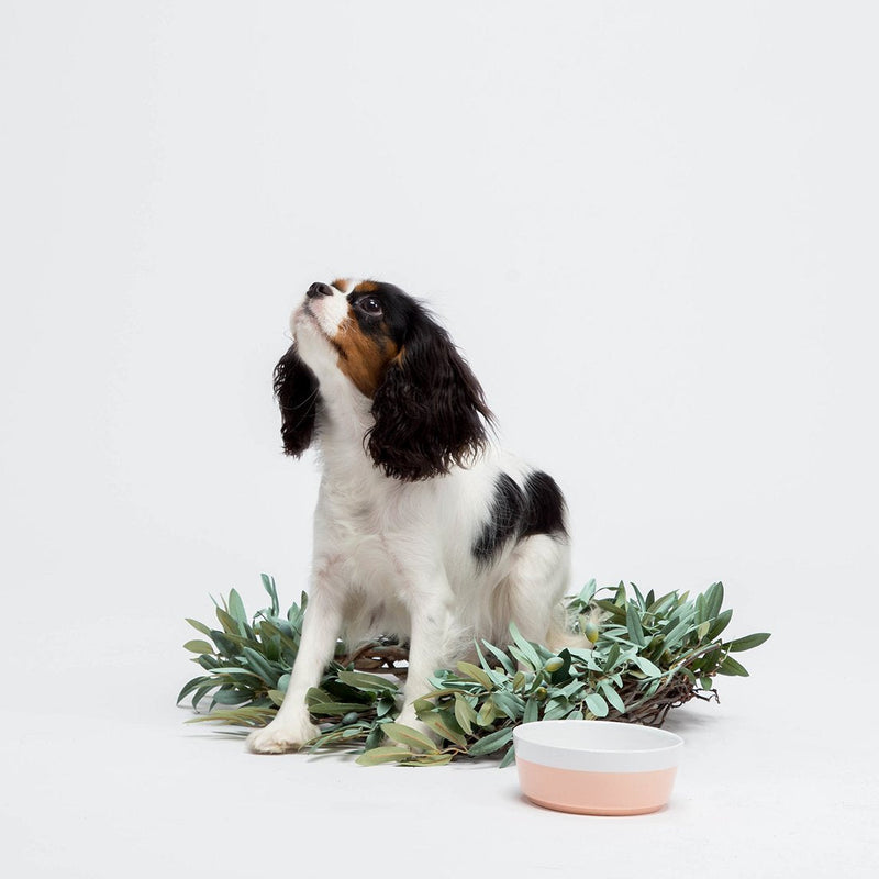 Waggo Dipper Ceramic Dog Bowl Vintage Grey, Large - BeesActive Australia