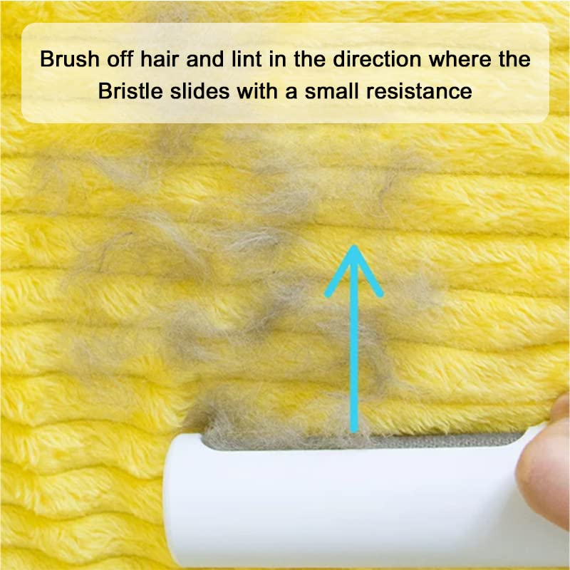 M&R,Pet Hair Remover Brush-Portable & Reusable Animal Hair Removal Brush for Dogs and Cats Easy to Clean Fixed Areas Pet Fur from Carpet, Furniture, Bed & Sofa and for Clothes and Car Seats Blue - BeesActive Australia