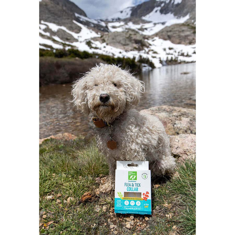 Only Natural Pet EasyDefense Non-Toxic Flea & Tick Collar for Dogs 2 Pack - BeesActive Australia