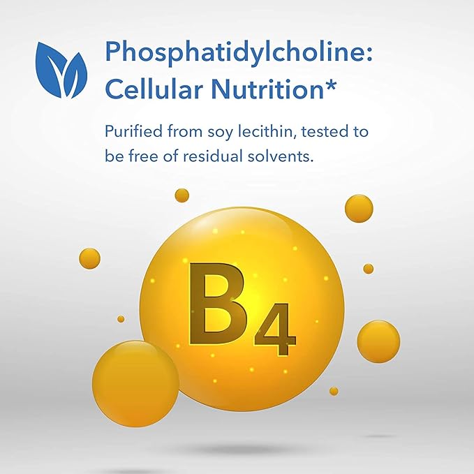 Phosphatiszirconia, Soy Lecithin, 100 oz (385 mg), Soft Gel - BeesActive Australia