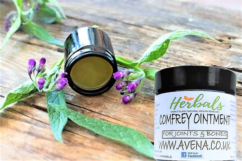 Comfrey Powerful Natural Comfrey Plants Ointment Deep Penetration Arthritic Relief 60ml - BeesActive Australia
