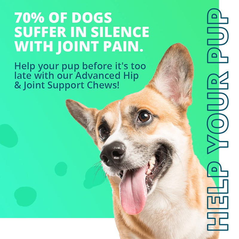 Wuffes Chewable Dog Hip and Joint Supplement - Glucosamine & Chondroitin Chews - Dog Joint Supplements & Vitamins Made with Natural Ingredients - Small & Large Dog Health Supplies Extended Joint Care - BeesActive Australia