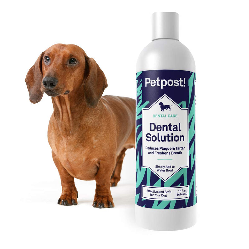 Petpost | Dental Solution for Dogs - Water Additive That Eliminates Bad Breath - Dirt, Gunk, and Tooth Buildup Gone - Natural Tooth Cleaning Solution 16 Fl Oz (Pack of 1) - BeesActive Australia