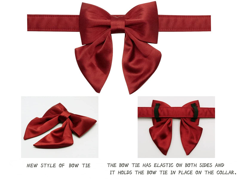 lionet paws Bowtie Dog Collar - Comfortable Cute Adjustable Silk Dog Collar with Detachable Bow Tie Matching Dog Leash for Dogs and Cats Girl or Boy Gift Collar&Bow-M (Pack of 1) Red - BeesActive Australia