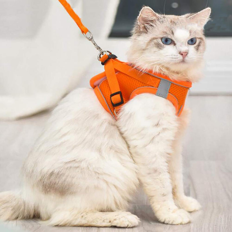 Love Dream Puppy Harness and Leash Set, Escape Proof Dog Cat Vest Harness for Cats Small Medium Dogs, Adjustable Reflective Step in Harness,Soft Mesh Comfort Fit No Pull No Choke Medium(13.7"-15.7") Orange - BeesActive Australia