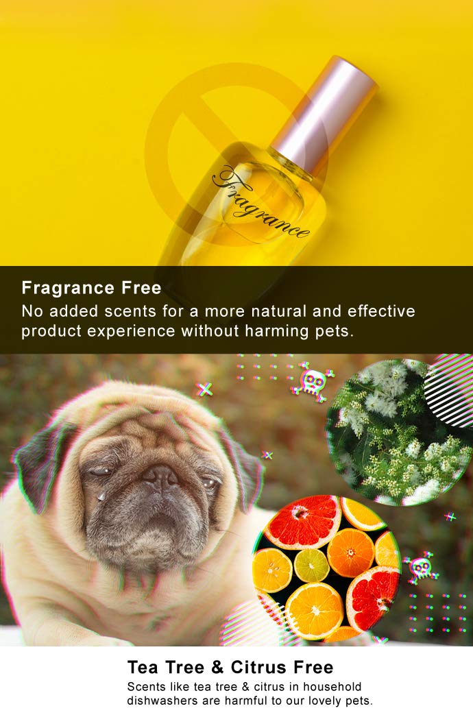 ODOUT Bowl Cleaner for Pet, Colorless & Fragrance-Free, No-Toxic Formula, Eco-Friendly,Toy Disinfect, Hand Care, Suitable for All Materials, 16.9oz/500ml Dog-17oz - BeesActive Australia