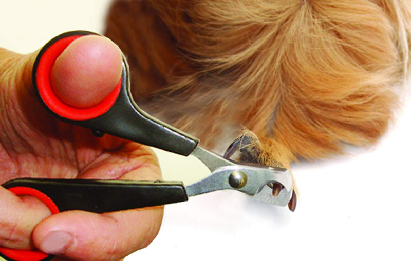 Lixit Grooming Kits For Rabbits, Guinea Pigs and other Small Animals. (4 Piece Kit) 4 Piece Kit - BeesActive Australia